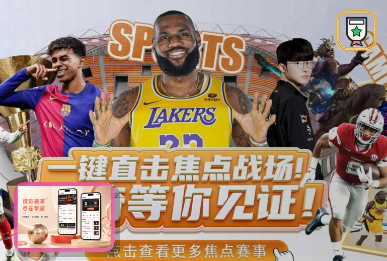 关于浏览器翻译的安全说明